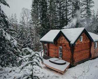 Cloud #9 Cabin — Cozy cabin w/hot tub! - Creston - Building