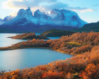 Puma House - Puerto Natales