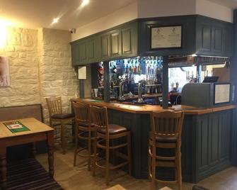 The Nags Head - Lampeter - Bar