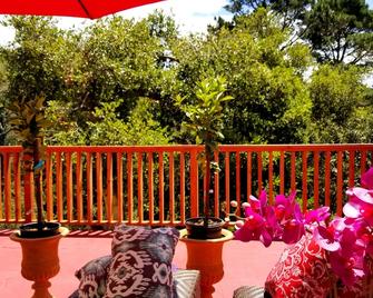 Carmel Special. Beautiful Private Cottage - Carmel-by-the-Sea - Balkon