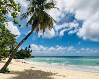 Blue Haven Holiday Apartments - Christchurch - Plaj