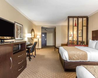 Comfort Suites Lawton Near Fort Sill - Lawton - Bedroom