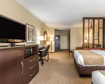 Comfort Suites Lawton Near Fort Sill - Lawton - Yatak Odası