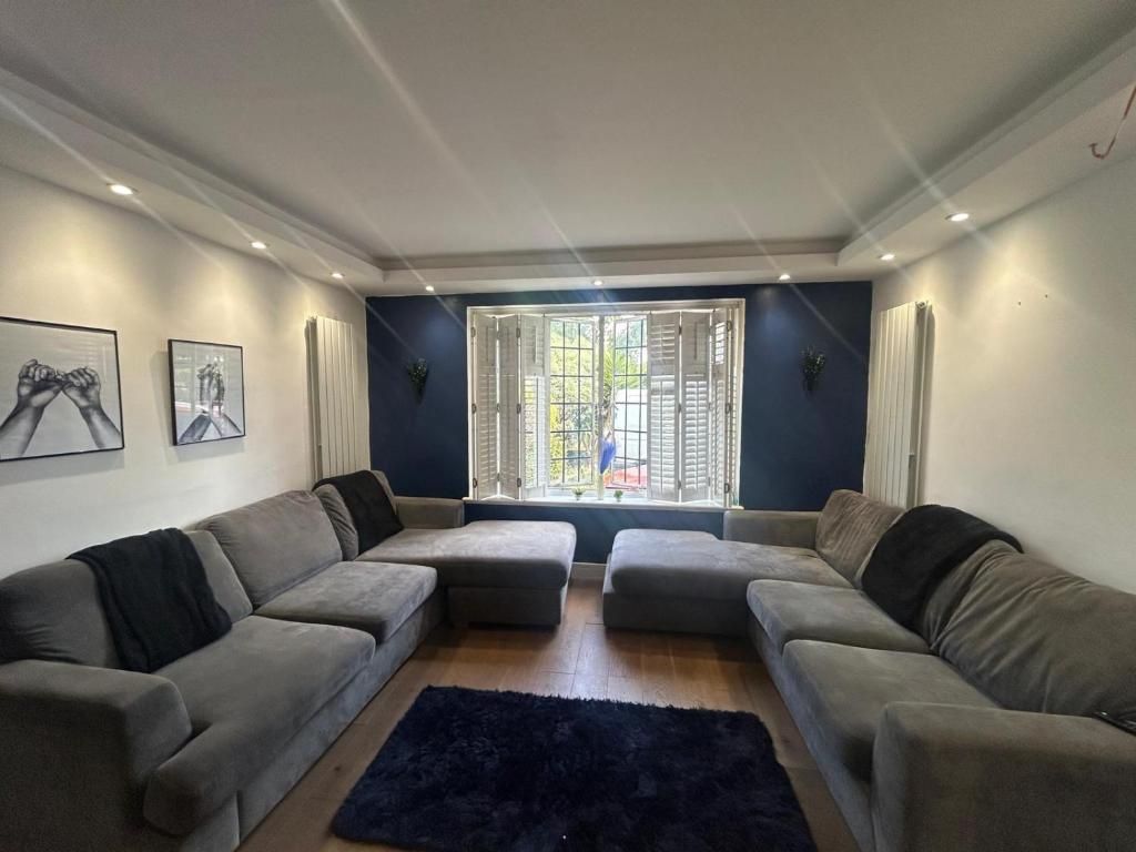 Spacious Guest House Thornton Road, Garden Room - לונדון - סלון