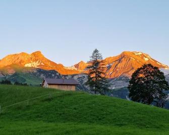 Snow+Surf B&B - Lauenen - Edificio