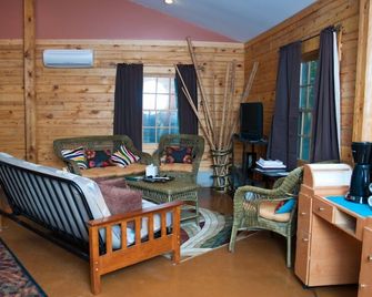 Nicely Appointed Cabin in Scenic Setting. Family-friendly, Romantic Too! - Arrington - Living room