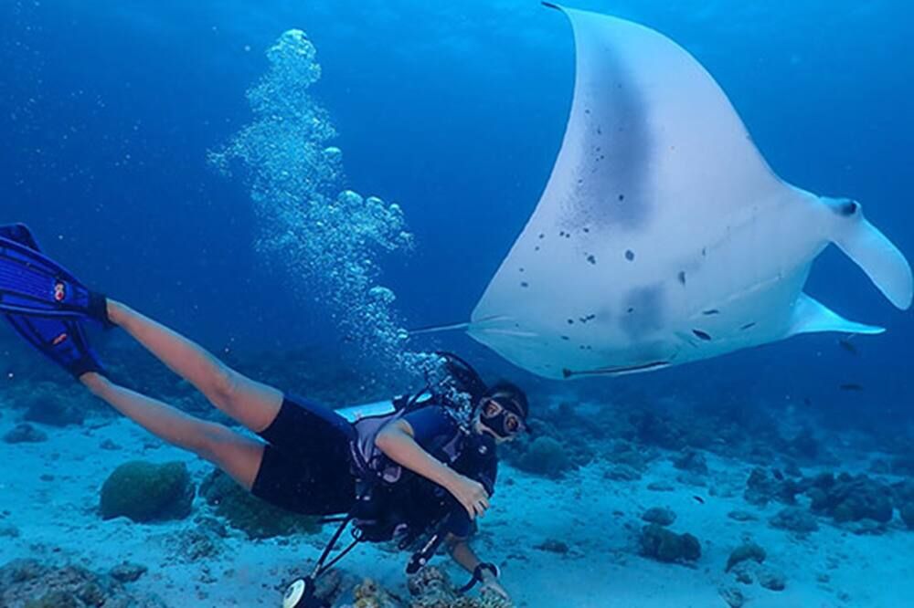 Fins Dive And Leisure Hotel - Rasdhoo