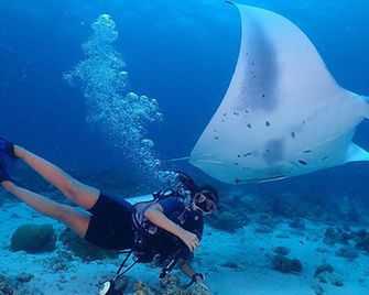 Fins Dive And Leisure Hotel - Rasdhoo