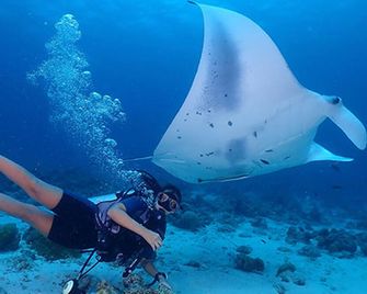 Fins Dive And Leisure Hotel - Rasdhoo