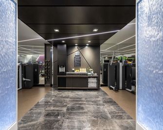 Sofitel Chicago Magnificent Mile - שיקאגו - חדר כושר