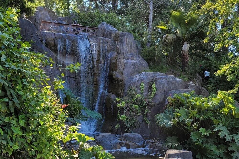 Golden Gate Park Suite - San Francisco - Näkymät ulkona