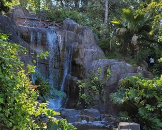 Golden Gate Park Suite - San Francisco - Outdoors view