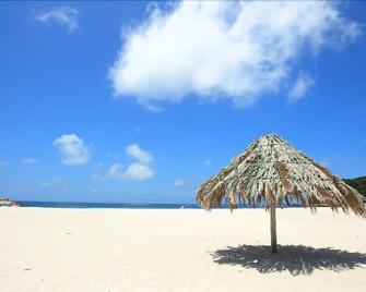 Musashi - שיראהאמה - חוף