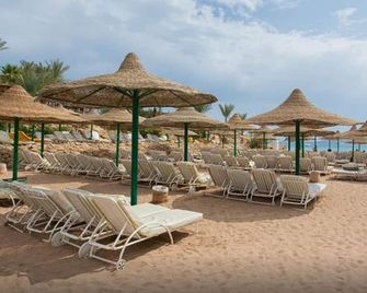 Oonas Dive Club - Sharm el-Sheij - Patio