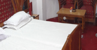 Hotel Vishwanath - 勒克瑙 - 臥室