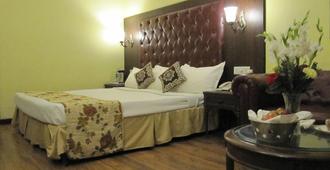 Hotel Ritz Plaza - Amritsar