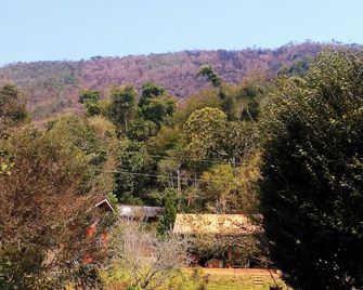 Cozy chalet in Lumiar to enjoy nature in the middle of the Atlantic Forest. - São Pedro da Serra - Extérieur