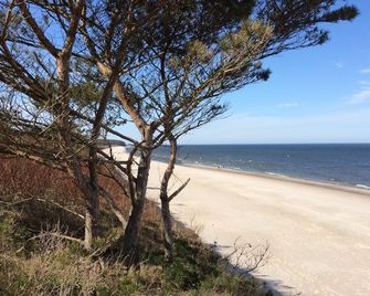 Baltic Sea, beach and lots of nature, right in the dune forest, close to the sea to listen - Dziwnów - Plaża