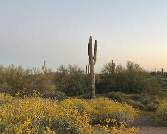 Nova 01: A one bedroom suite and gorgeous desert views, Nova #1 - Apache Junction