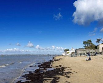 Ronce Les Bains - Semi-Detached House With Private Garden Under The Pines - Ronce-les-Bains - Pláž