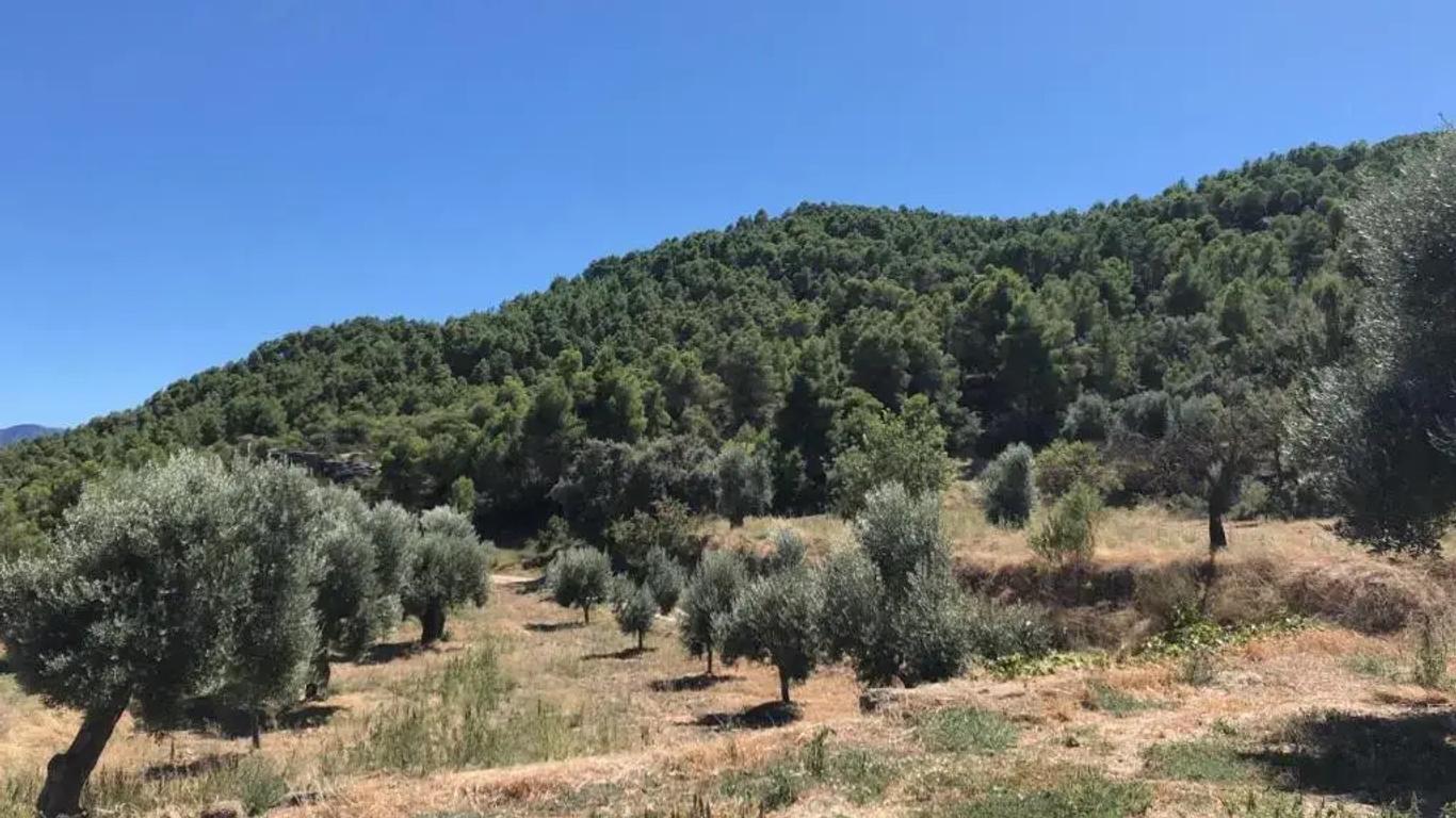 Masia Mas De La Creu