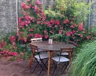 Wurster Kroog - Bremerhaven - Patio