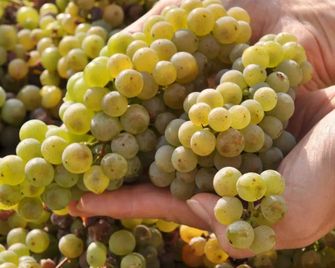 Weinhotel Landsknecht - Sankt Goar