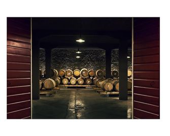 Castello di Buttrio - Buttrio