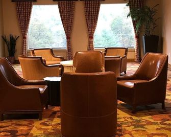 Unicoi State Park & Lodge - Helen - Lounge