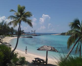 Mermaids with great views of the Atlantic Ocean - Alice Town - Beach