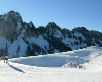 Résidence le Sapin & Bains de la Gruyère - Val-de-Charmey