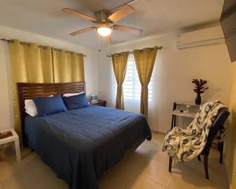 Atardecer: with manual private garage, 2/AC, 2TV Near San Juan, Central - Bayamón - Habitación