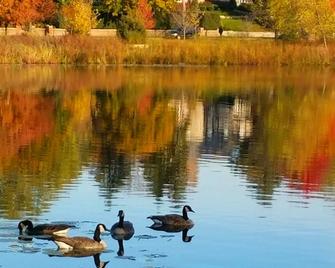 Studio Apt. Lake of the Isles Inn Uptown Minneapolis Furnished Monthly Rental - Mineápolis