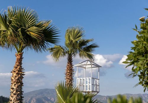 Marti La Perla Adult Only+16 desde S/ 302 (S̶/̶ ̶6̶8̶8̶