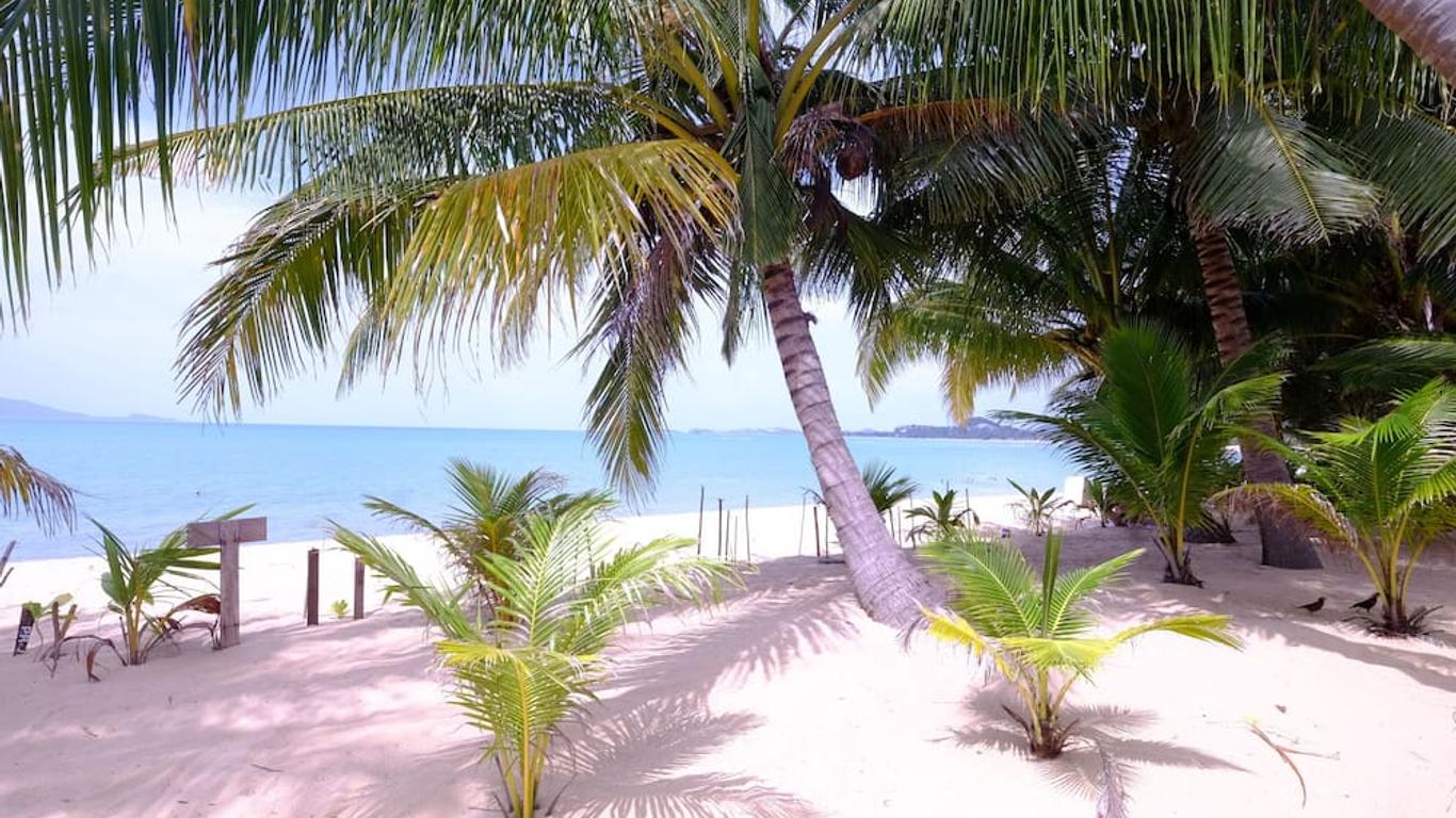 لوليتا بنجالو