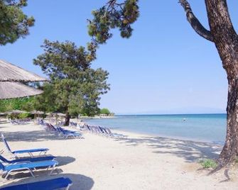 Rachoni Bay Hotel - Thasos - Beach