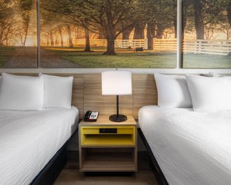 Days Inn by Wyndham Anderson/Clemson Area - Anderson - Спальня