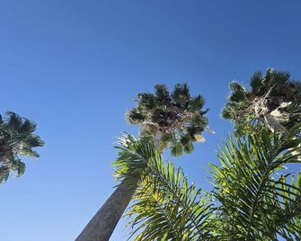 Sea Shell Palms, Ocho Rios - Ocho Rios - Dış görünüm