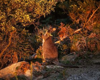 Freycinet Resort - Coles Bay