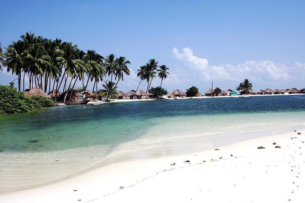 Daltons Banana Guesthouse - פריטאון - חוף