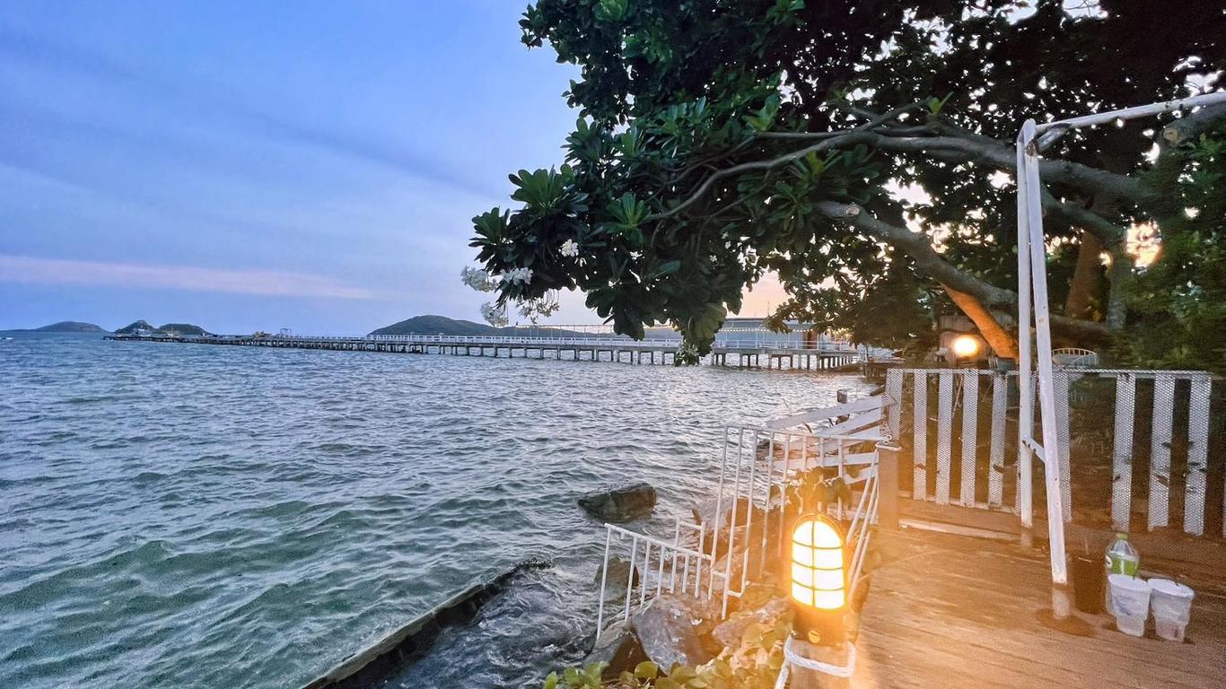 بان ساتاهيب باي ذا سي