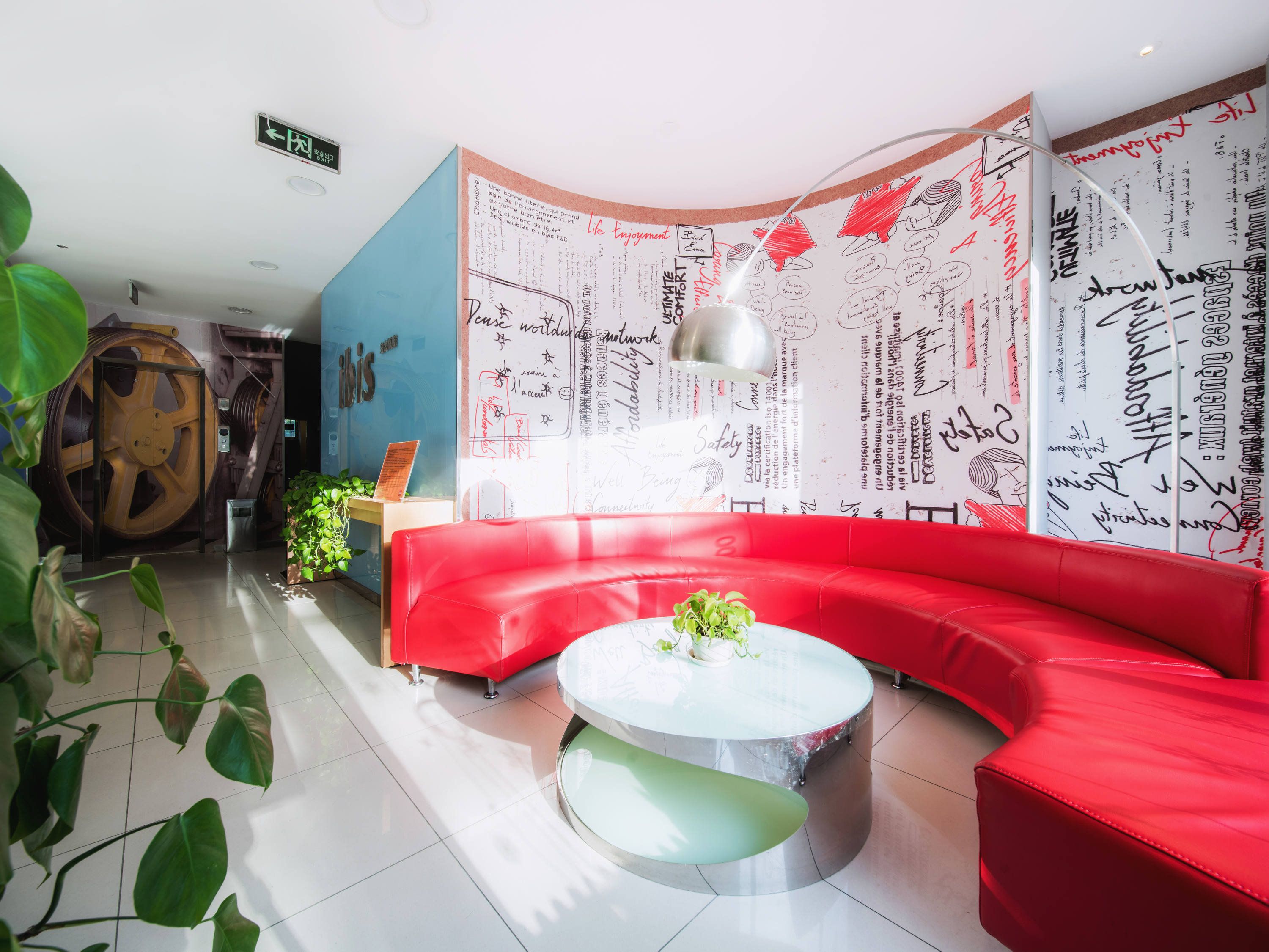 إيبيس بكين دونجداكياو