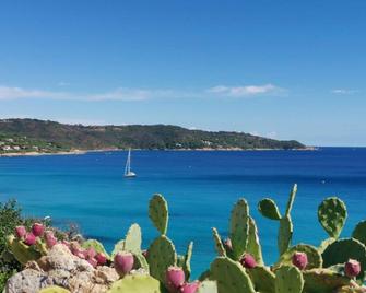 La Noura - Trans-en-Provence