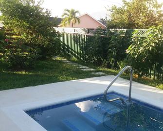 South Point Row: 1 Bed. Apt. + Plunge Pool - Surfing: The Best On The South! - Oistins - Pool