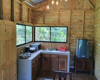 Into the Greens - Siquirres - Kitchen