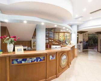 Hotel Calabrisella - Ricadi - Rezeption