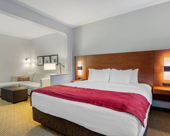 Comfort Suites La Porte - La Porte