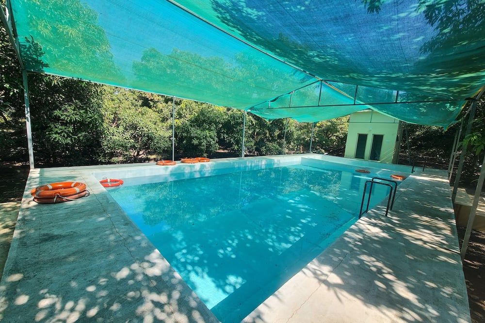 Dev Farm Sasan Gir - Sasan Gir - Pool