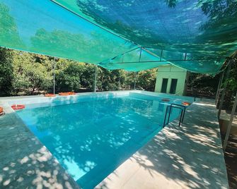 Dev Farm Sasan Gir - Sasan Gir - Pool