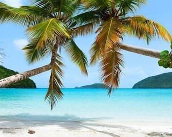 Central Seaview Oasis - Cruz Bay - Beach